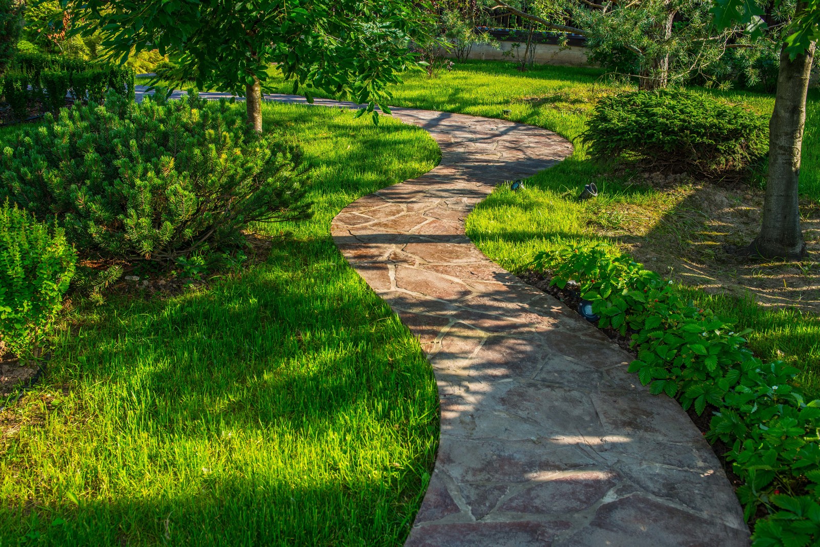 Сад в Марокканском стиле