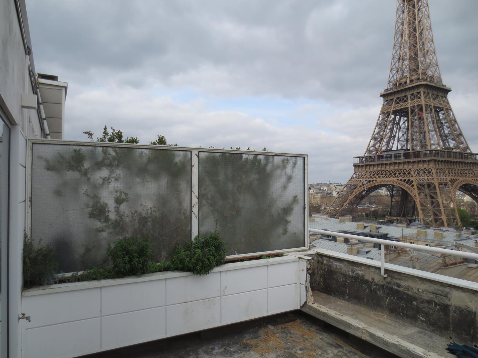 До и после: Преображение террасы за 7 дней