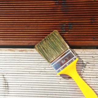 Veroonika Bojetskaja