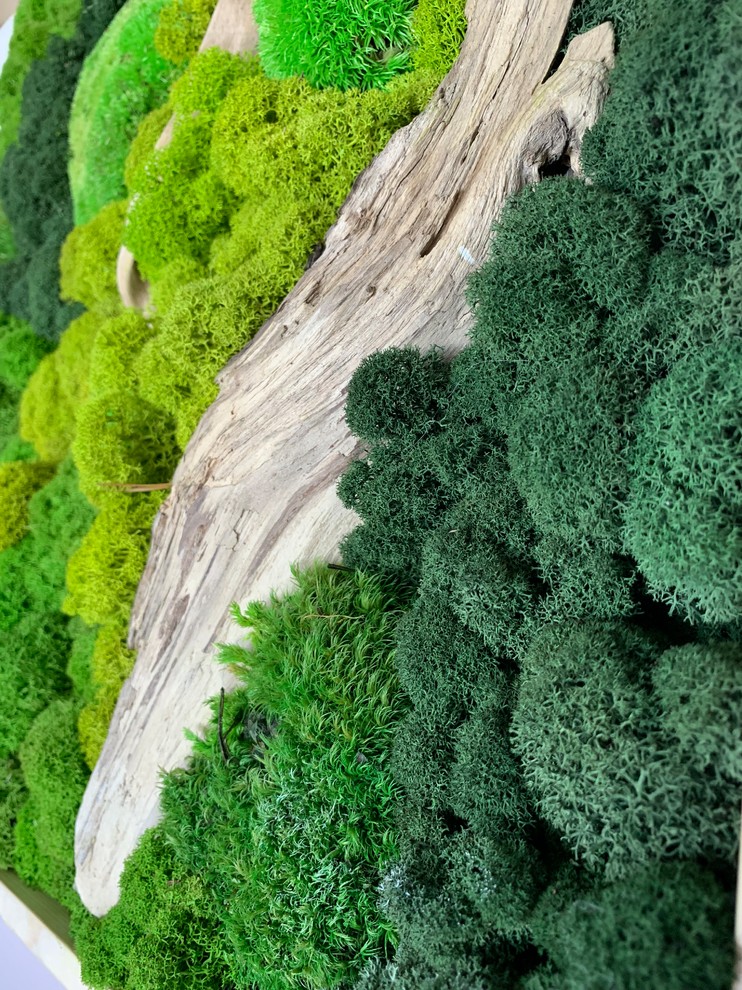 Обложка проекта: Панно из стабилизированного мха Ягеля и кочек