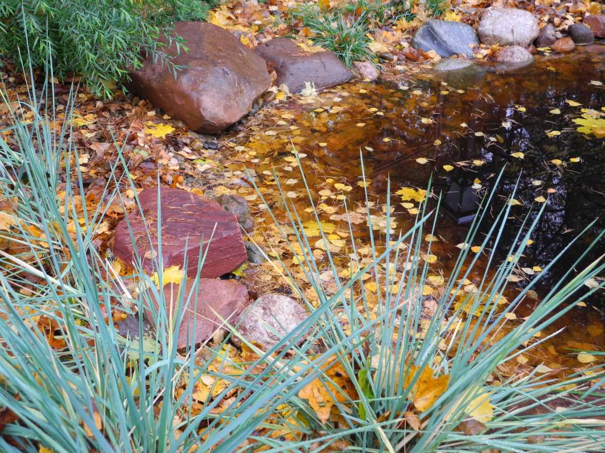 Водоём на участке