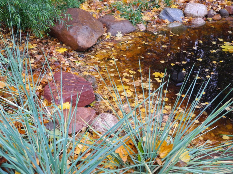 Водоём на участке