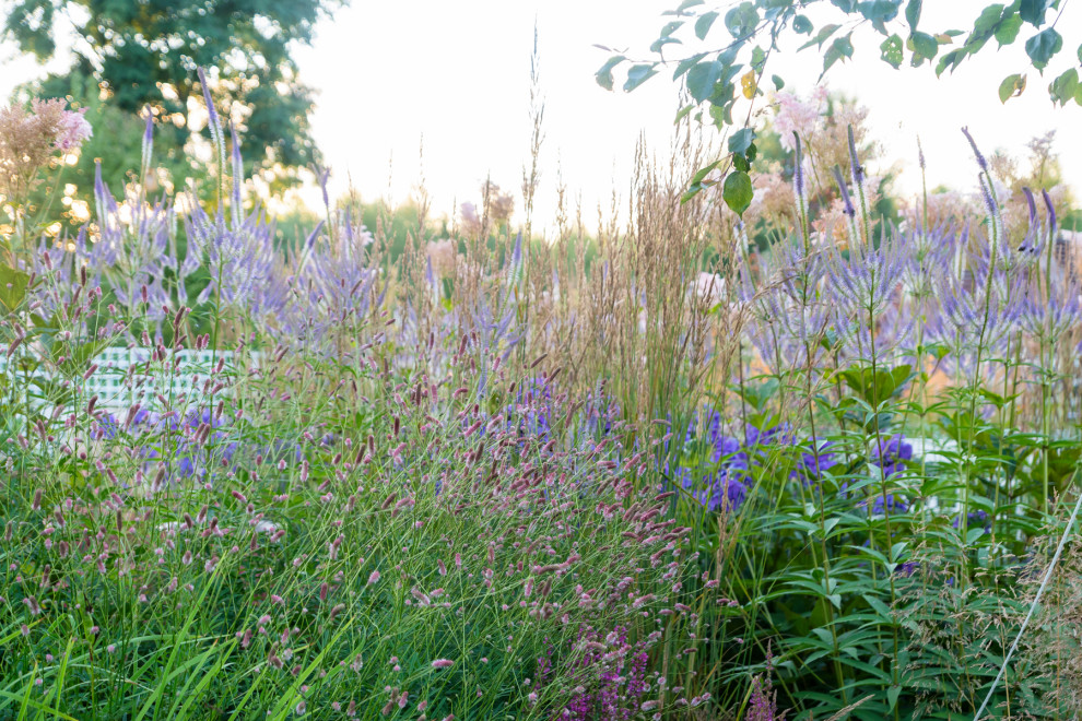 Дергаево - Цвет и нежность