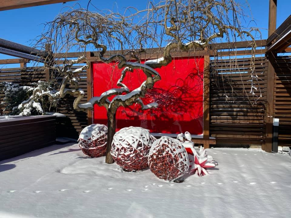 В гостях: Загадочный сад в Херсоне на 12 сотках