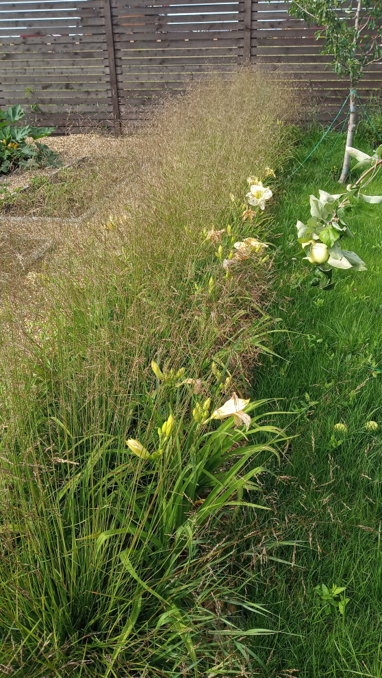 Зелёная комната