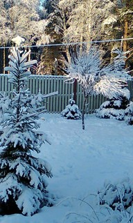 ArtGarden landscape Studio