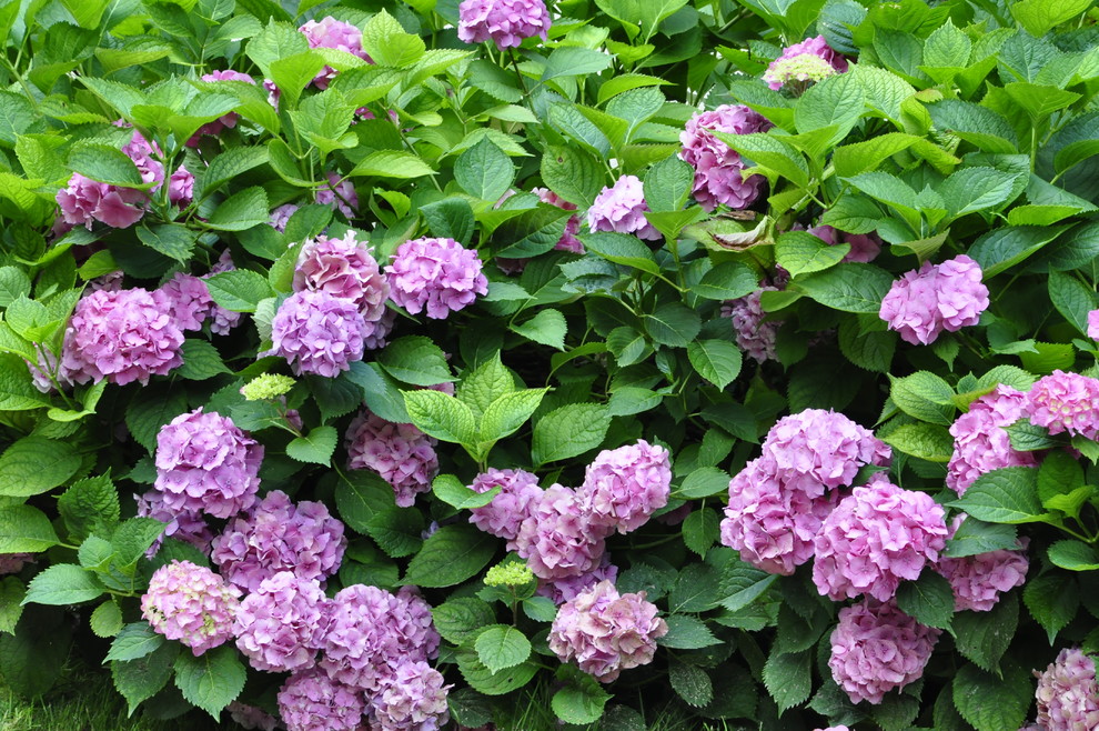 кп "Успенские дачи" - Уход за садом - 100% качество!