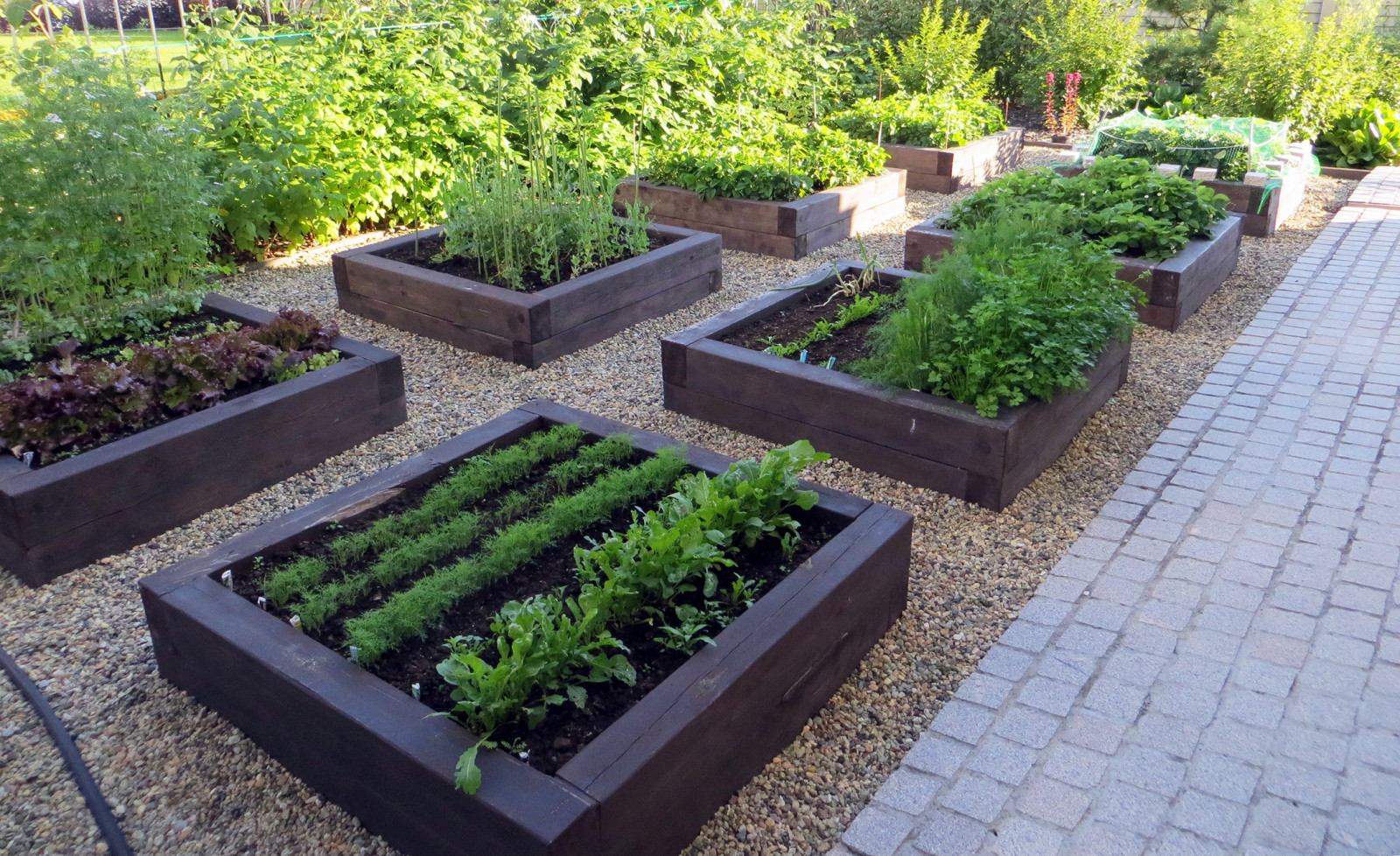 Сад с геометричным водоемом