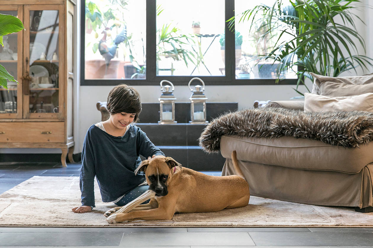 Houzz Испания: Лофт с историей в Барселоне