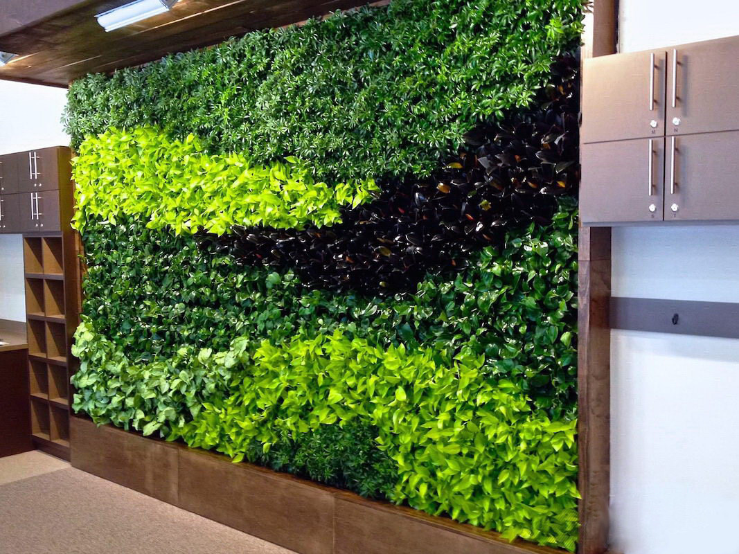 Фито-стена