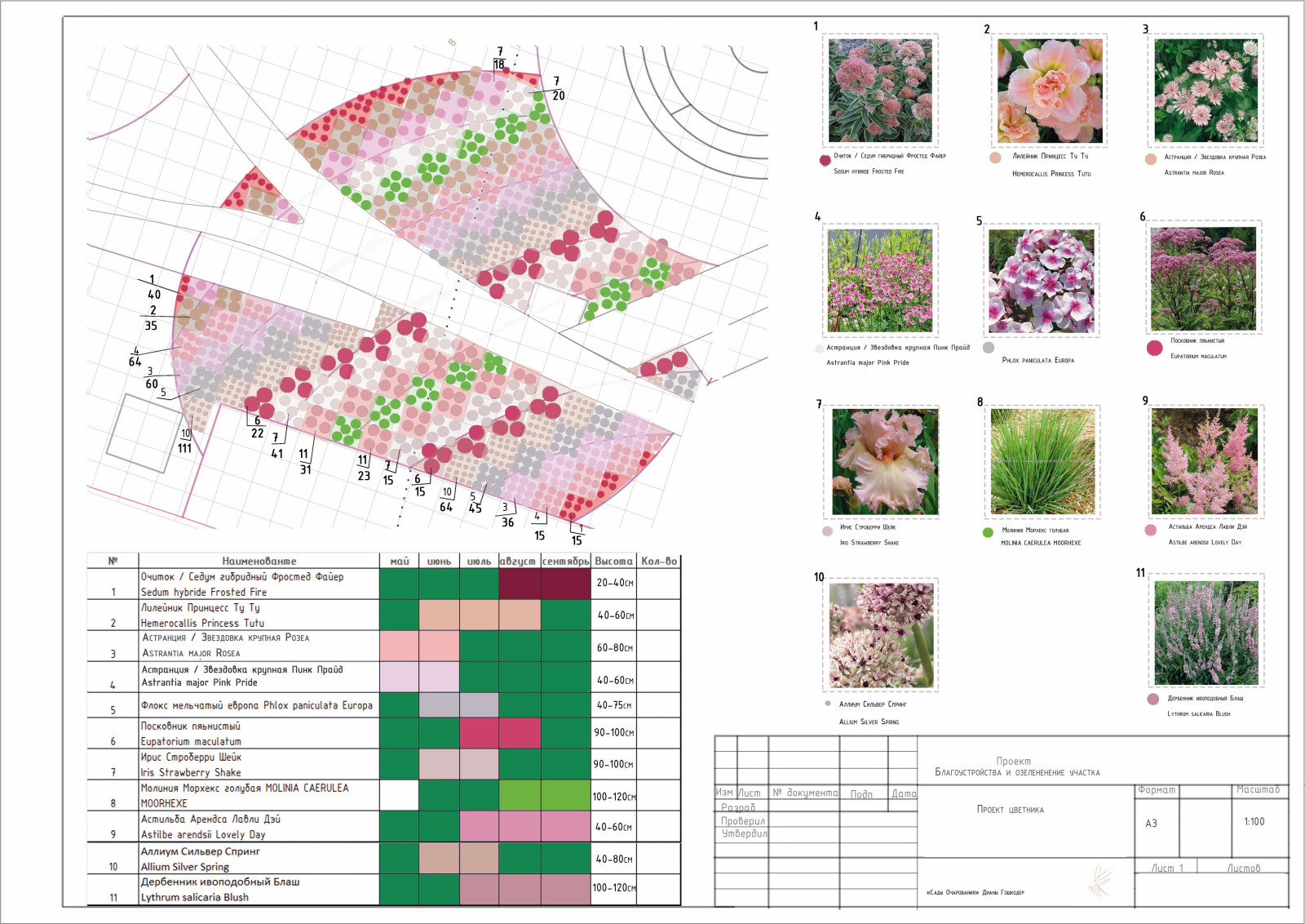 Диана Гошкодер