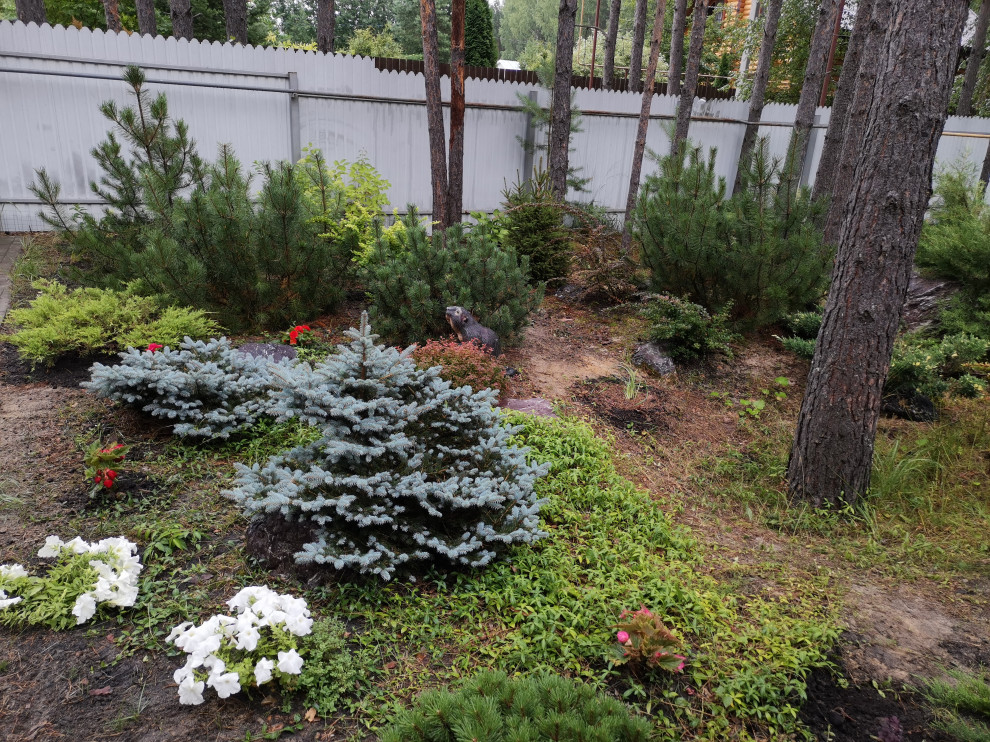 Лесная сказка Марий Эл. Сад в стиле Naturgarden
