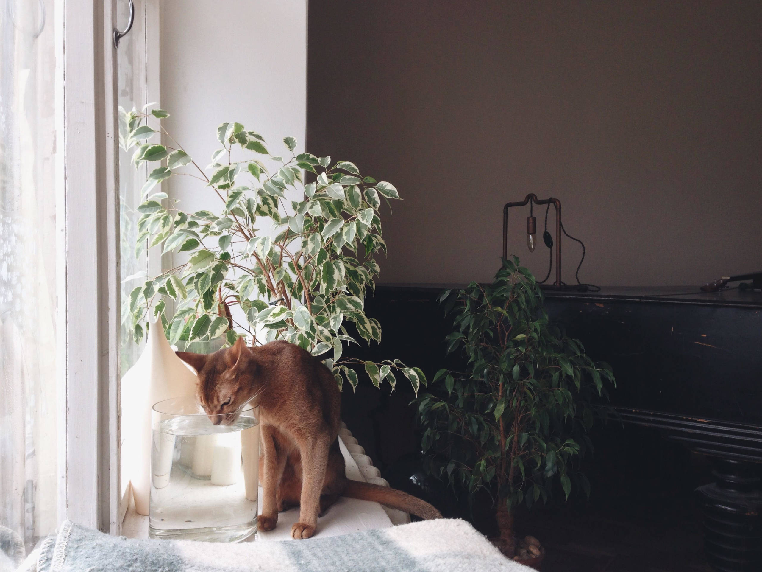 Личный опыт: Жизнь в Берлине — квартира и быт