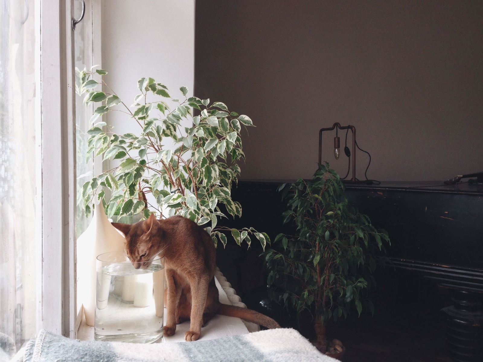 Личный опыт: Жизнь в Берлине — квартира и быт