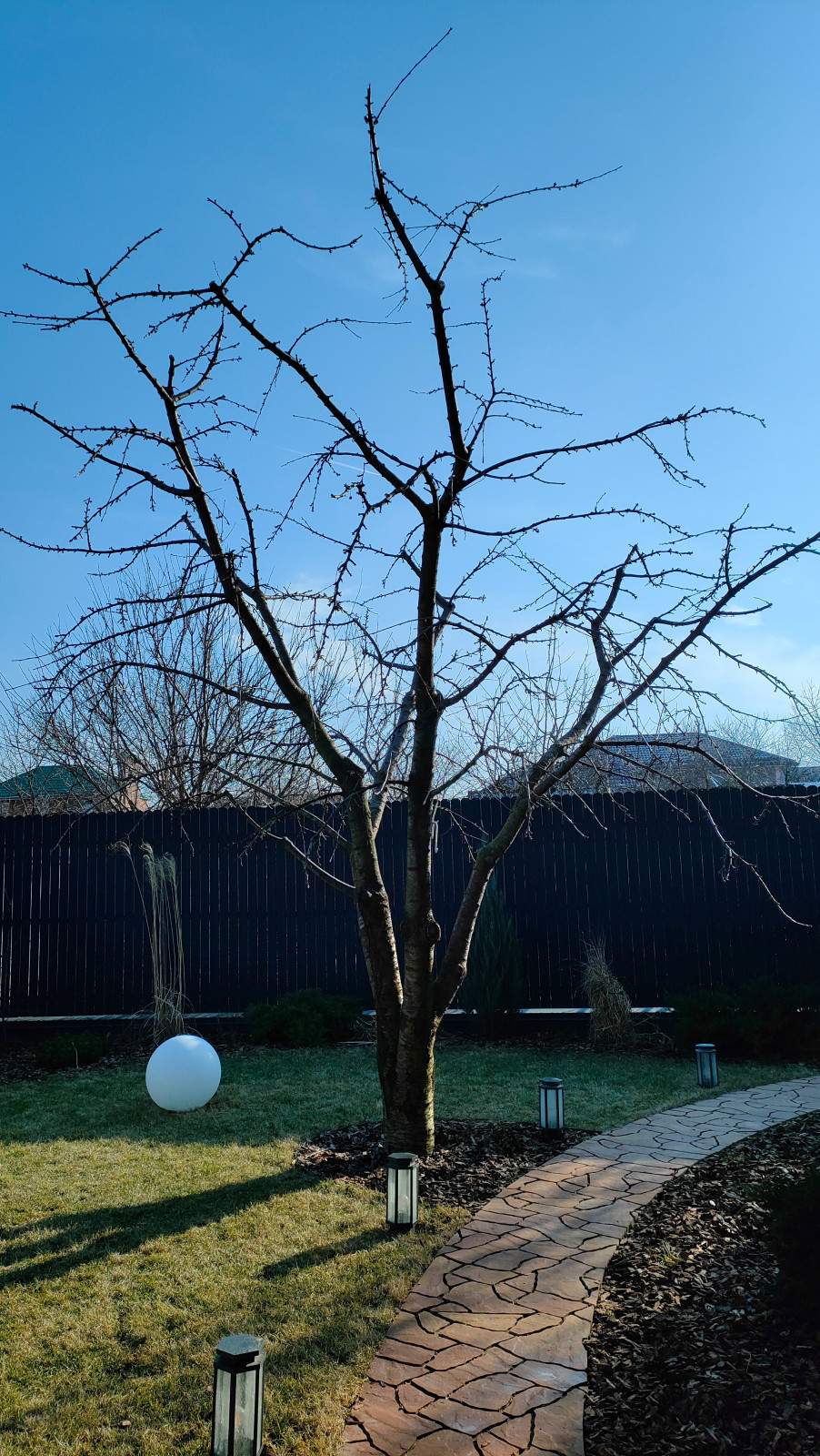 Обложка проекта: Частный сад "на Дружной"