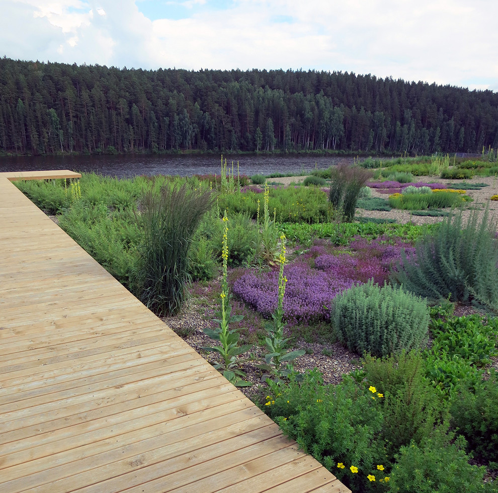 Полынный берег