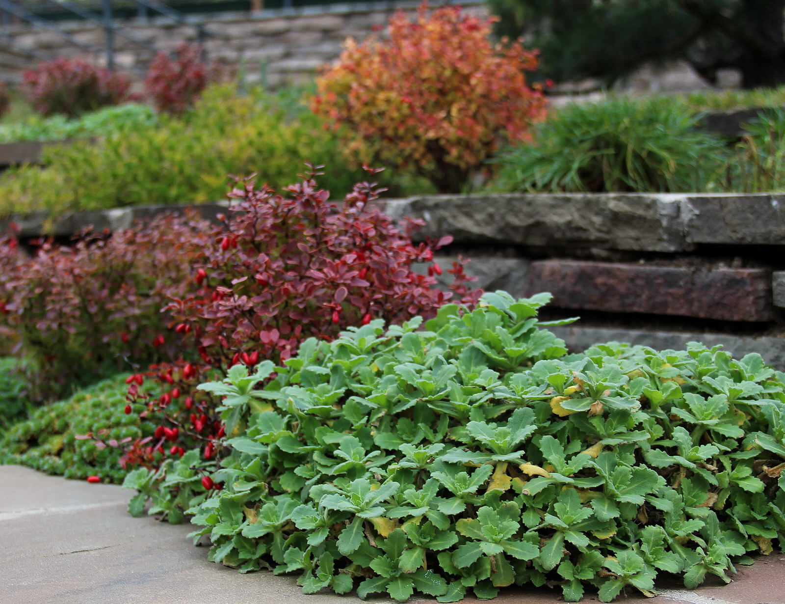 Ландшафтный дизайн участка под уклоном