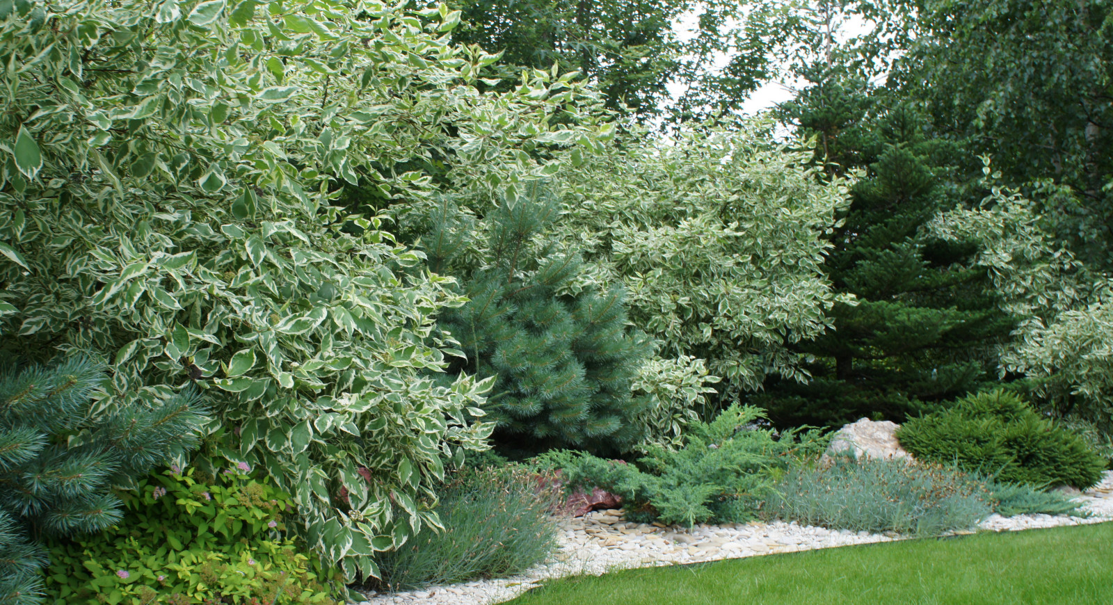 Участок 30 соток