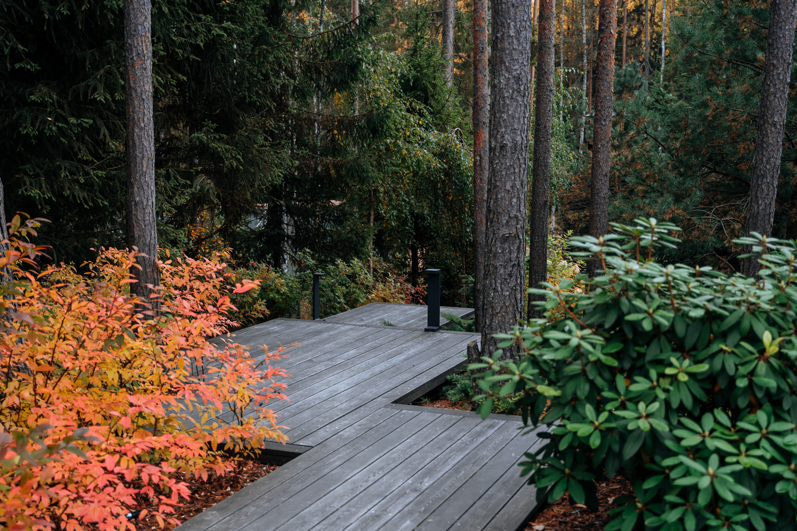 Северный сад