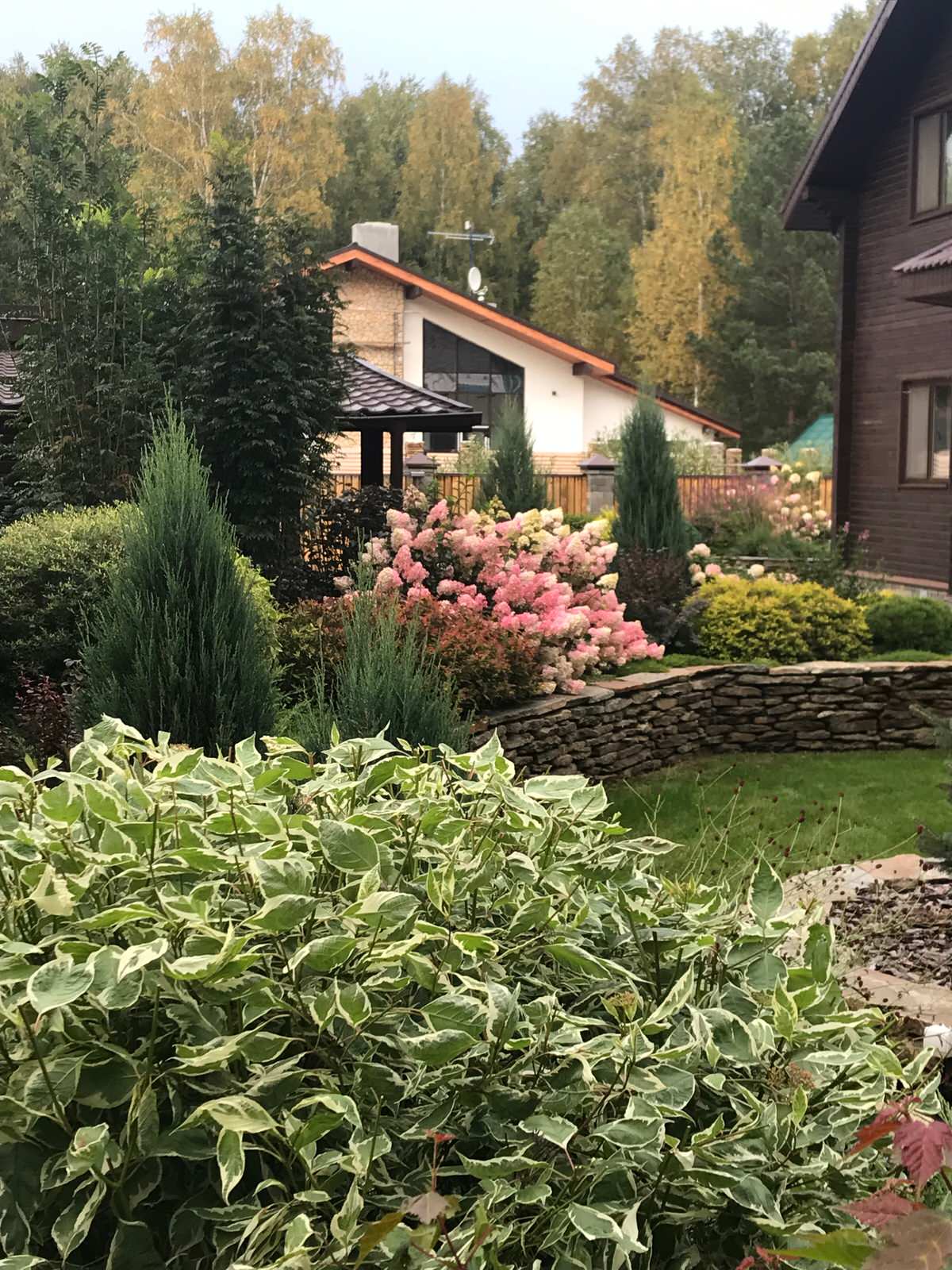 Пейзажные сады