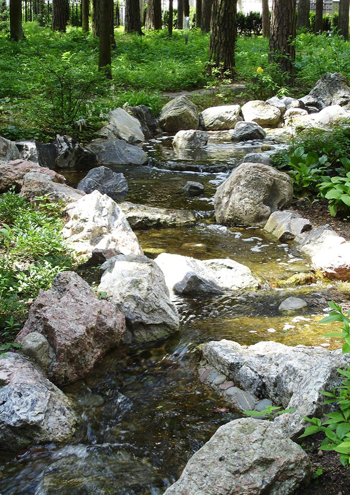 Сад с водоемом в КП " Сосновый Бор"