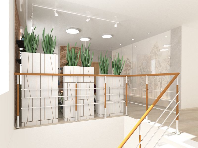 Дизайн-проект интерьера зимнего сада