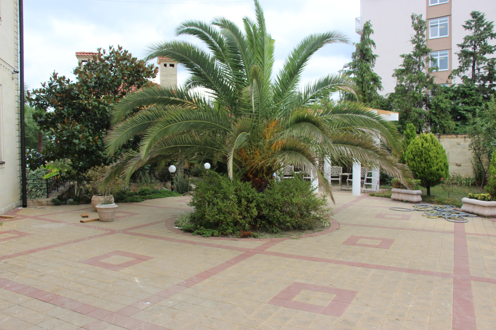 Фабрициуса