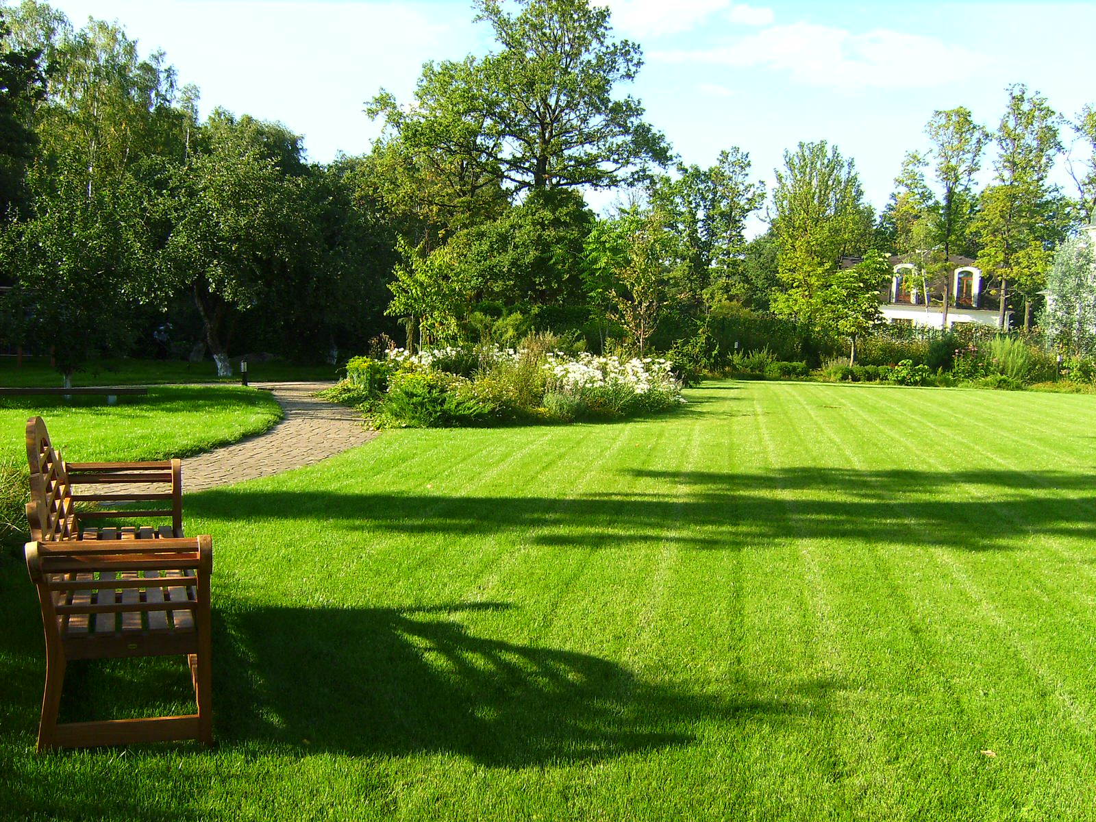 Газон после стрижки.