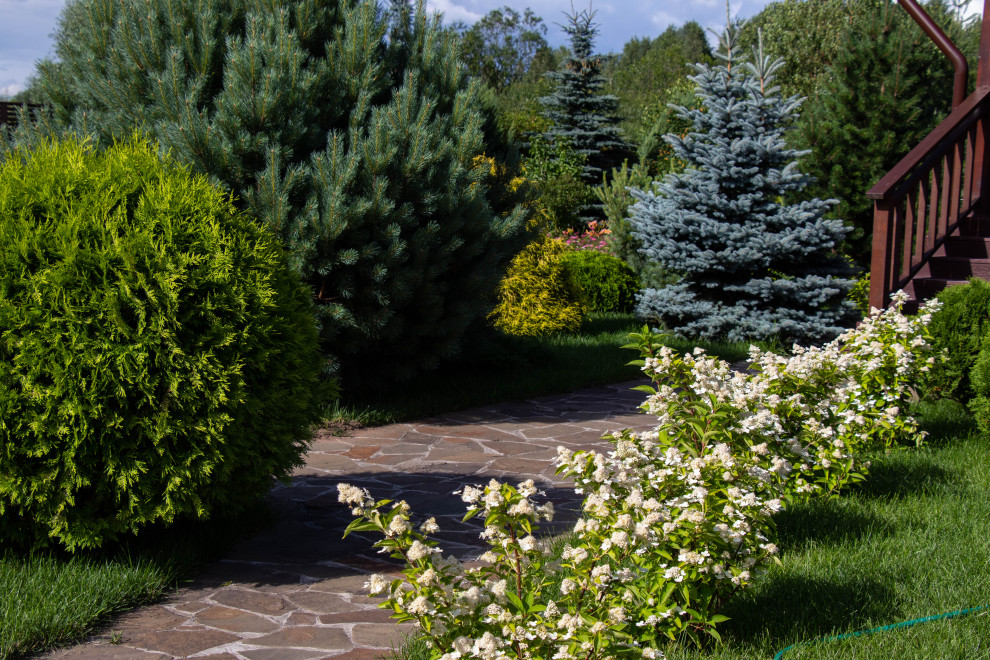 Сосновые берега