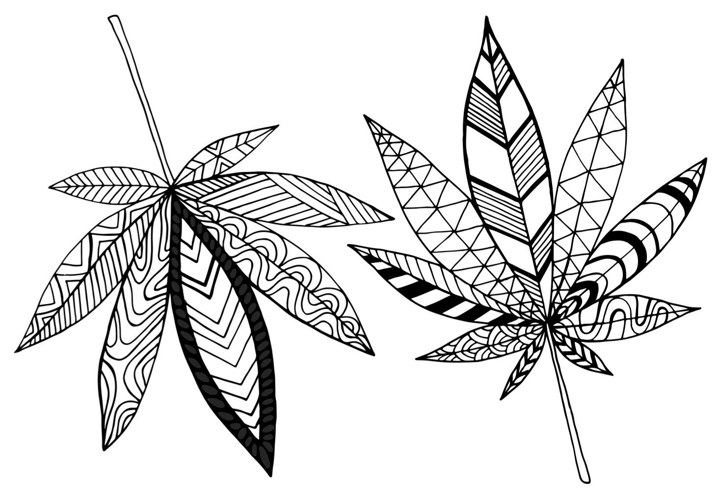 Кирилл Арсеньев