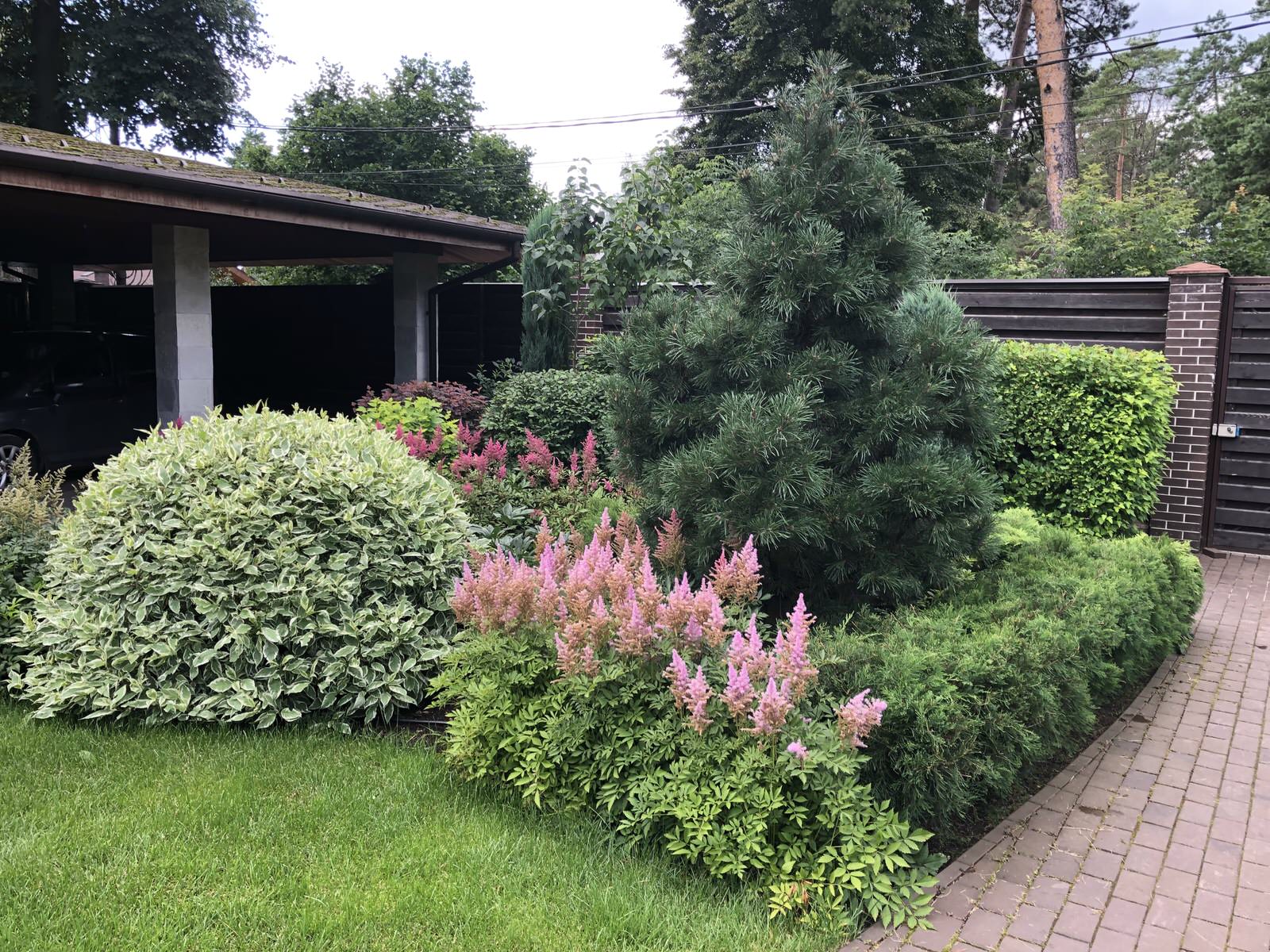 Сад в поселке Салтыковка