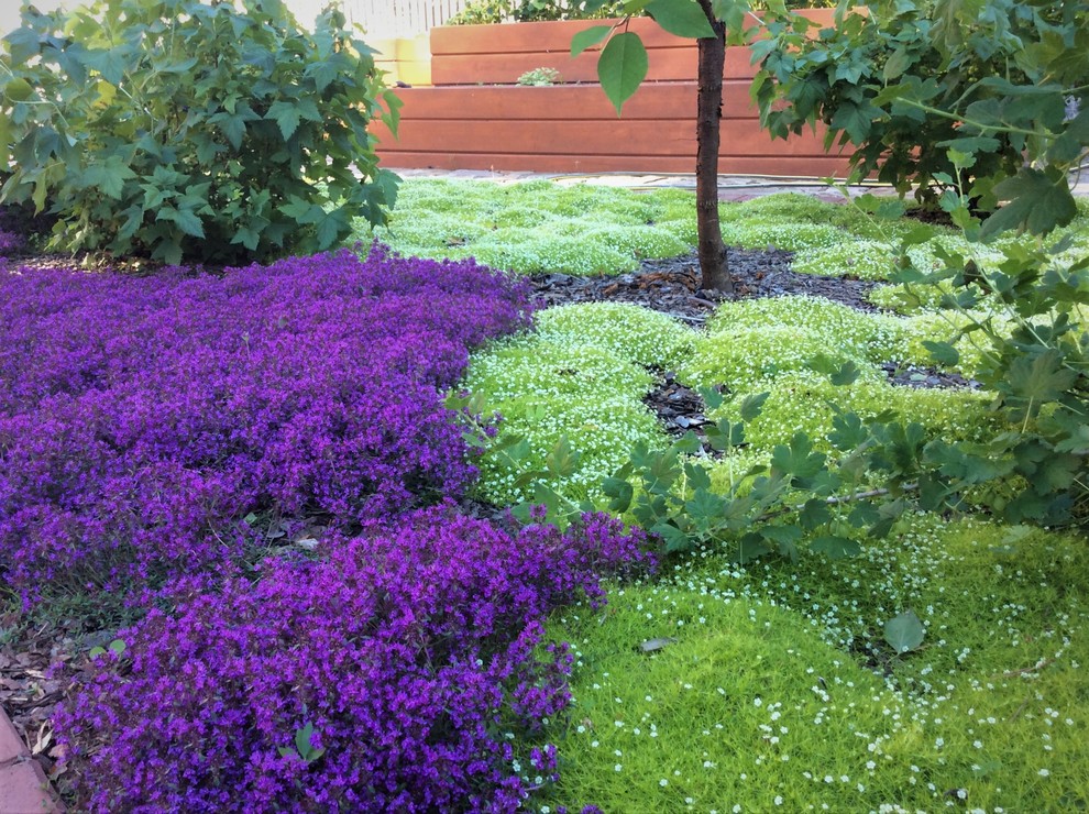 Полет Шмеля 2