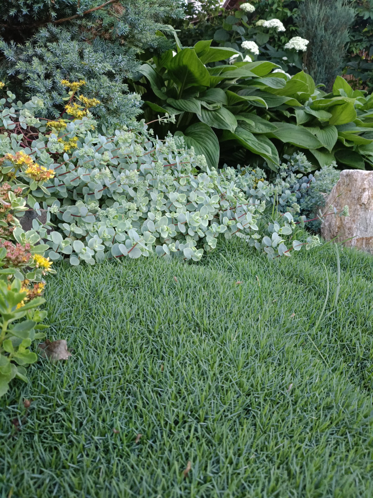 Современный цветник