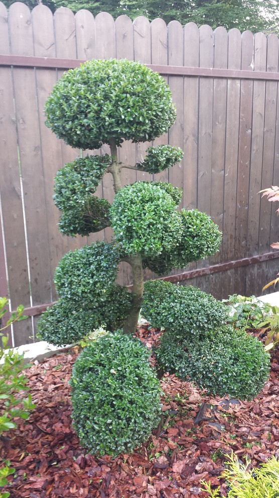 Благоуствойство частного домовладения