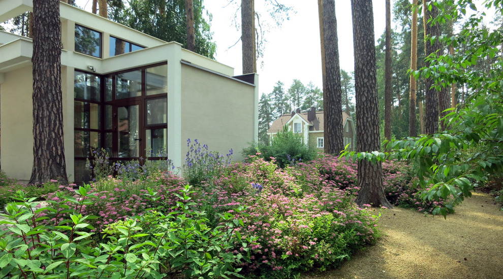 Маленький сад между большими соснами.