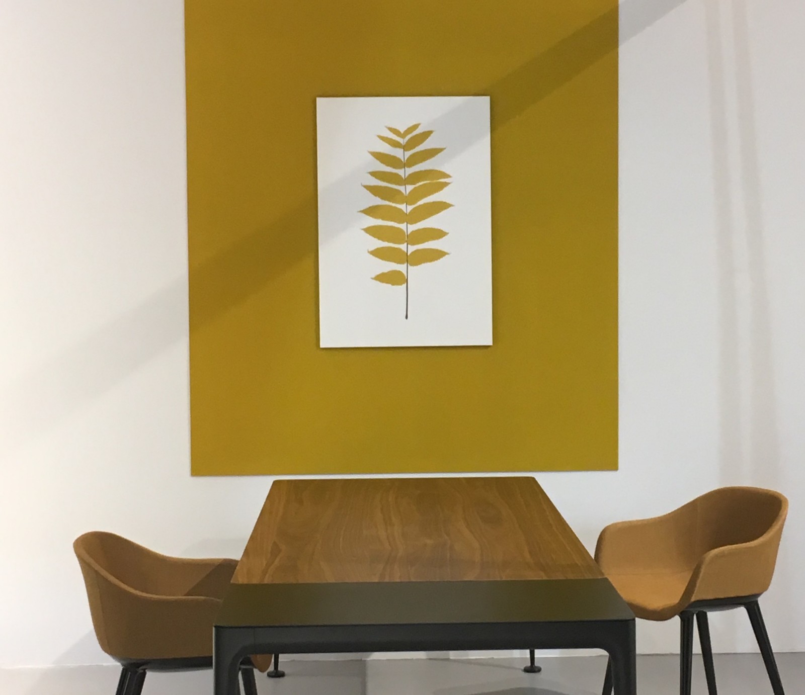 Микротренд: Цветы гиганты и мутанты