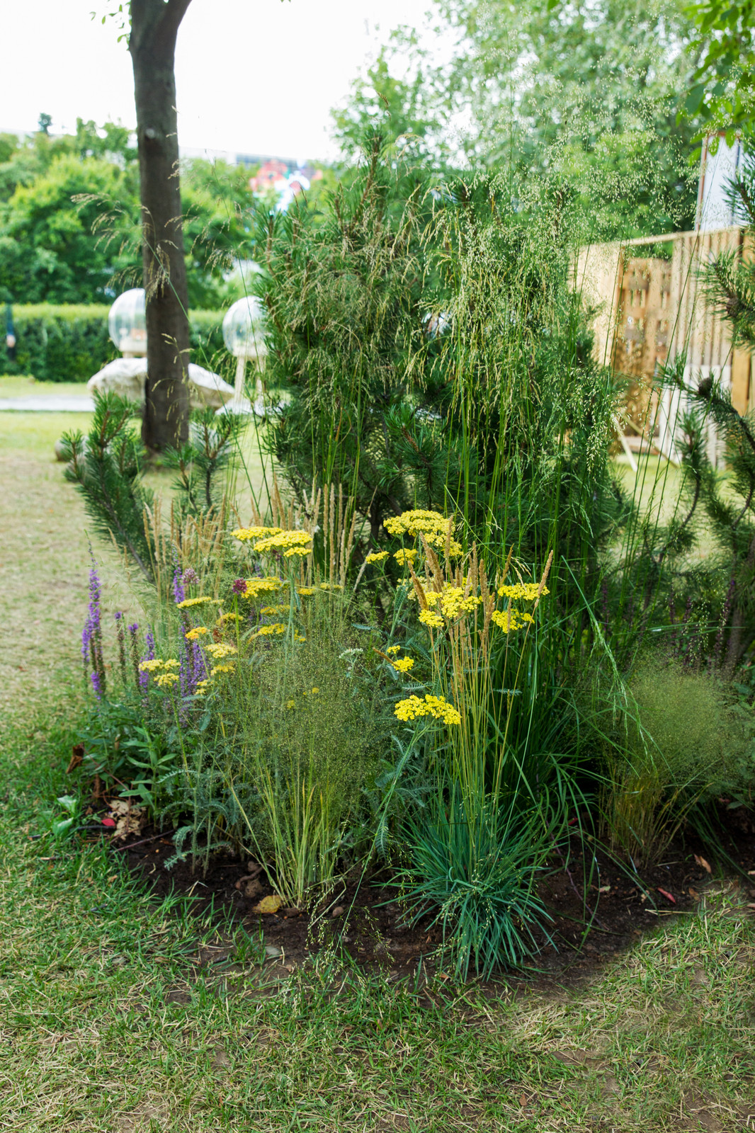 Сад   James Alexander-Sinclair  на Moscow Flower Show 2018  (вне  конкрса)
