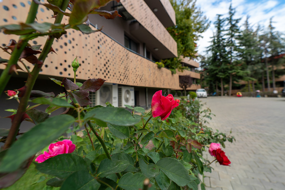 Акварель-3, Бриз, Варна