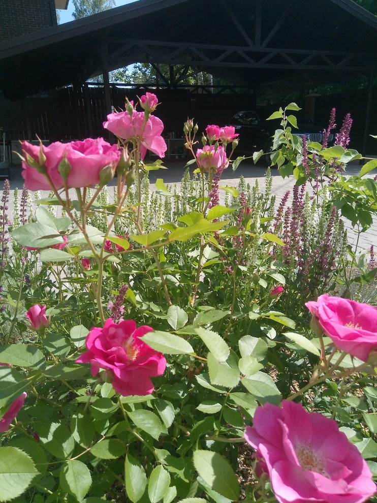 Сад в Рожновке