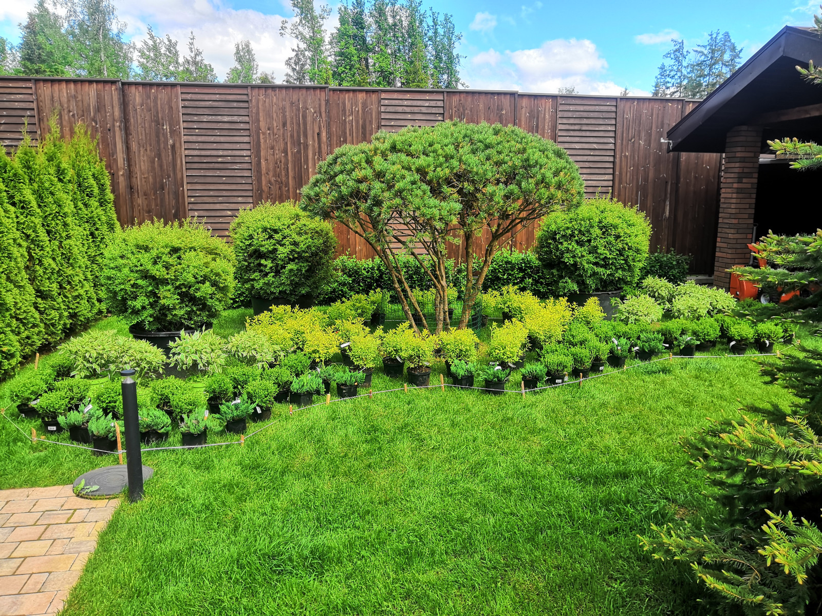 Landscape design of the territory (Moscow region, Green Grove village)