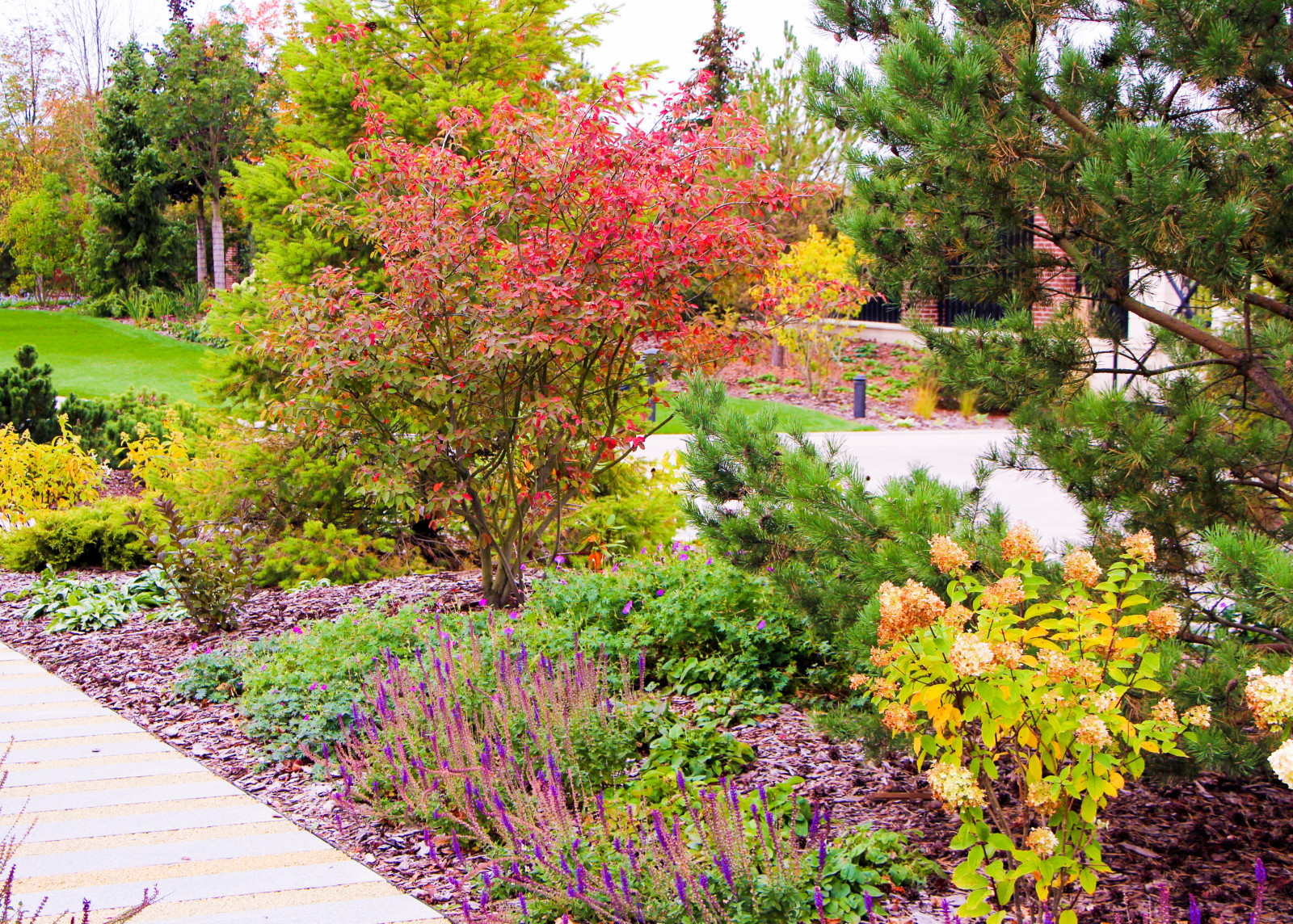 Горки-10, 2017-2020 г.г.