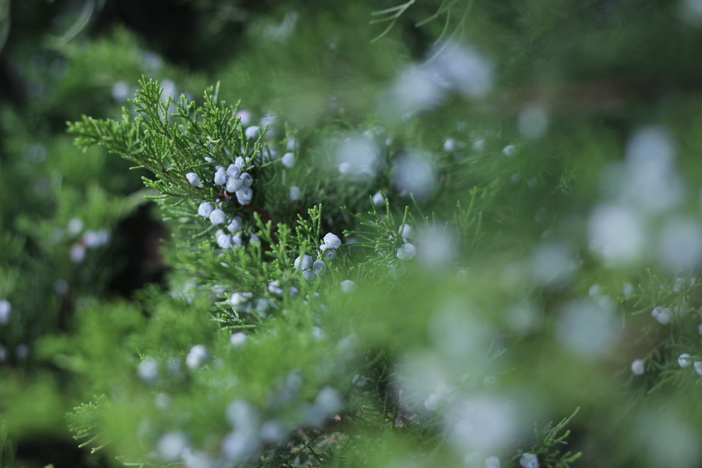 Обложка проекта: Ландшафт в деталях