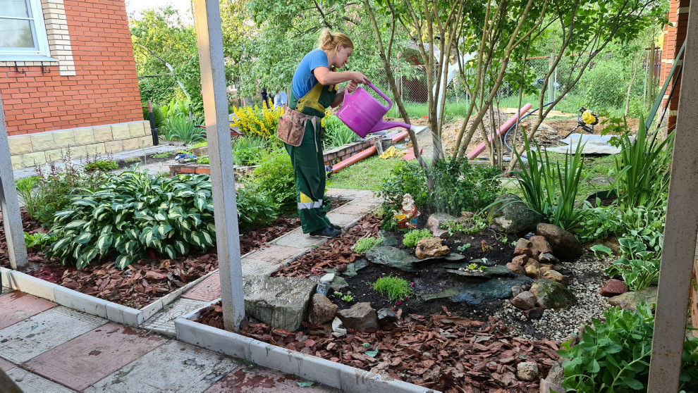 Посадка растений, озеленение