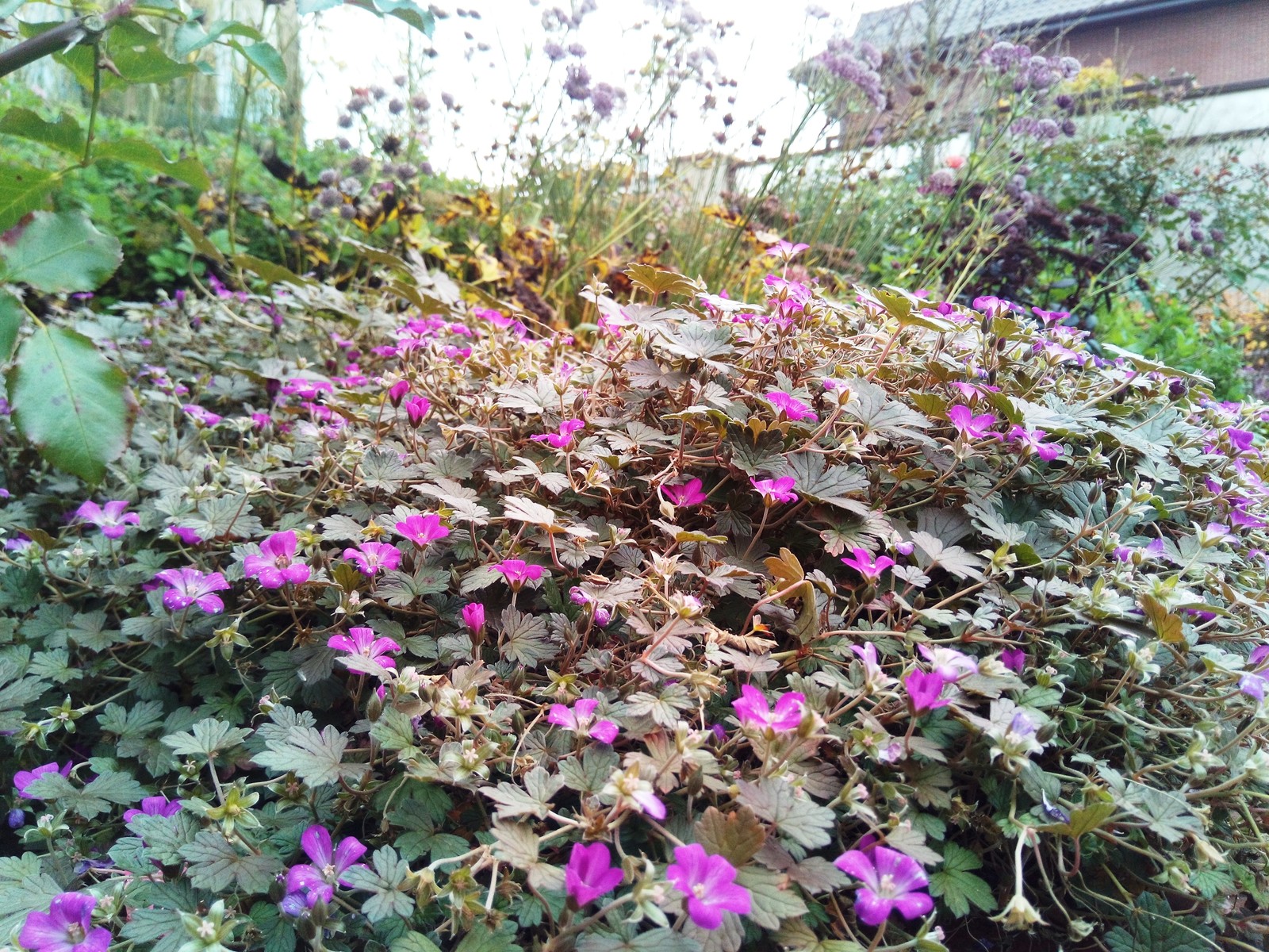 кп "Мартемьяново" - Профессиональный уход за садом - 100% качество!