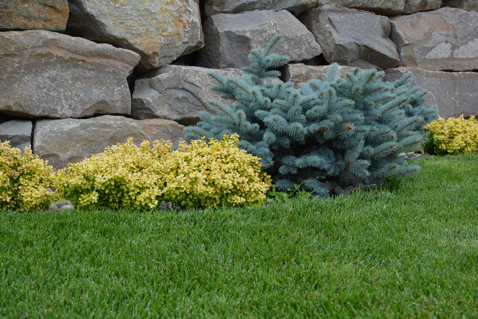 Ново-Николино