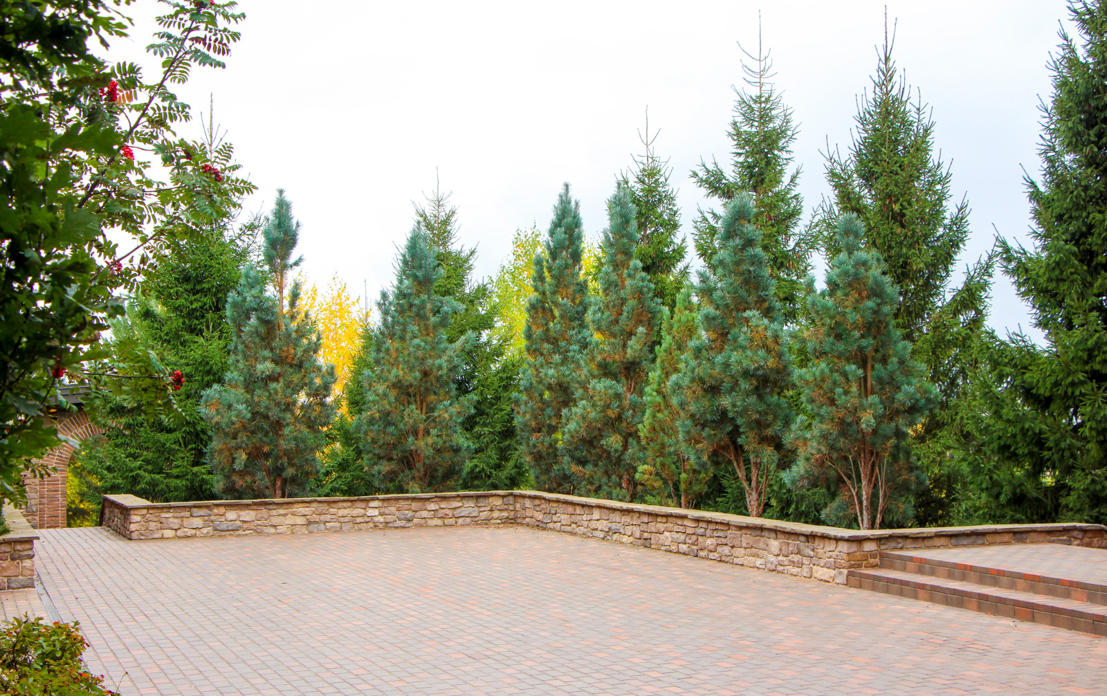 Лобаново, 2012-2021 гг.