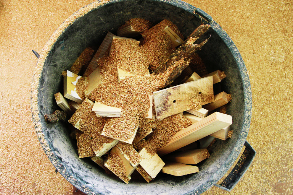 Портрет: Мебель для хвостатых питомцев от Pettel Design