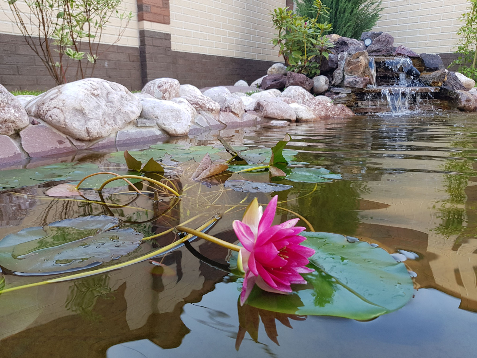 Обложка проекта: Водоемы