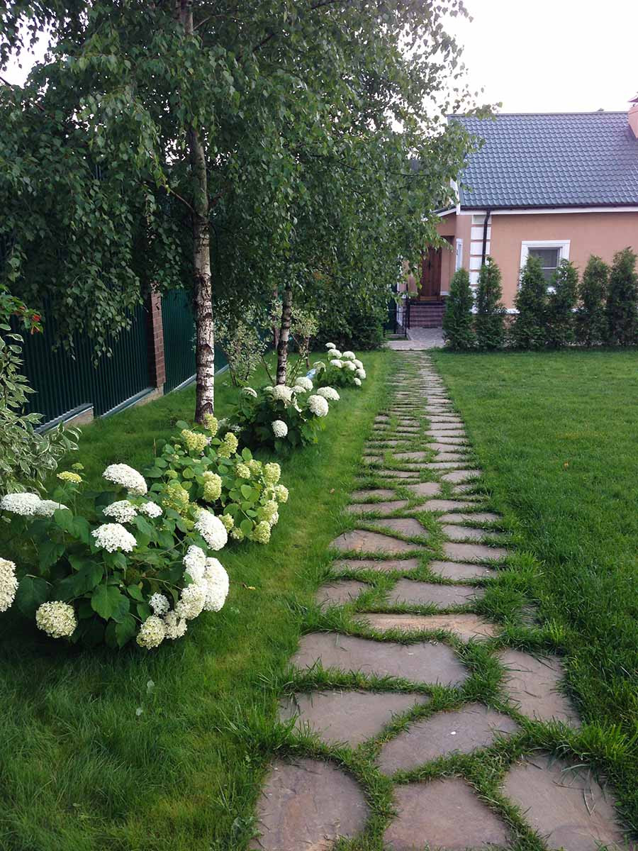 Деревня Алексино Истринского района