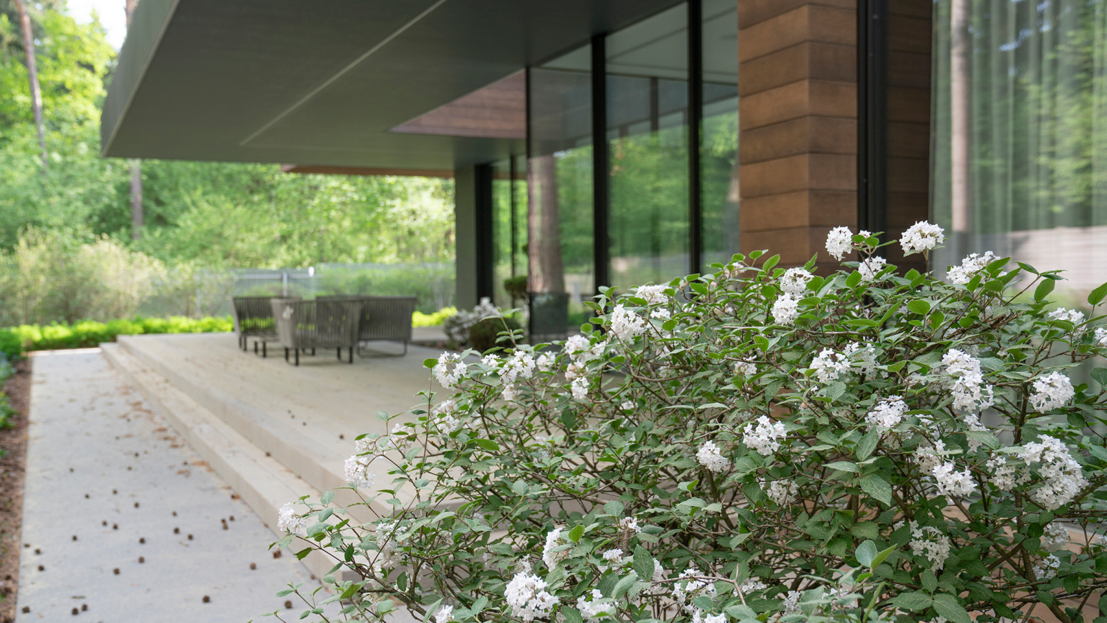 В гармонии с лесом. Модернистский сад. КП Новоуспенский 2020 г